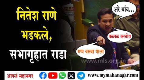 नितेश राणे आणि सपाचे आमदार रईस शेख भिडले Nitesh Rane On Rais Shaikh Youtube