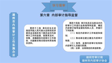 学习强审 《湖州市内部审计工作实施办法》 二十五