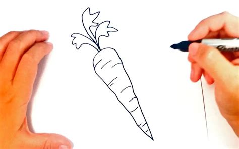 How To Draw A Carrot: 10 Amazing and Easy Tutorials!