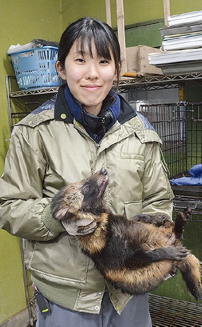 増加するタヌキの保護 金沢動物園で年間80匹 金沢区・磯子区 タウンニュース