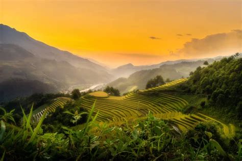 Aerial View Of Golden Rice Terraces At Mu Cang Chai Town Near Sapa City