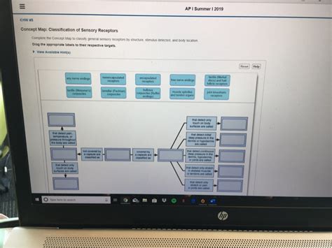 Concept Map Classification Of Sensory Receptors Angela Maureene