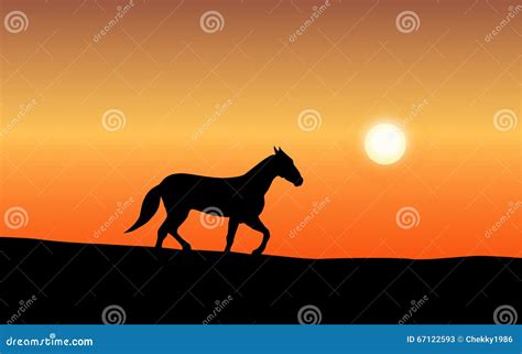 Horse silhouette at sunset stock vector. Illustration of stallion ...