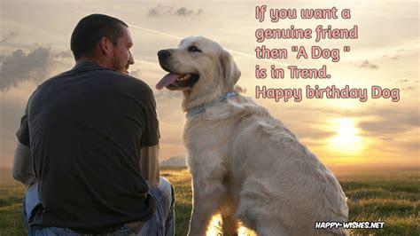 Cute Happy Birthday Dog Quotes Quotes