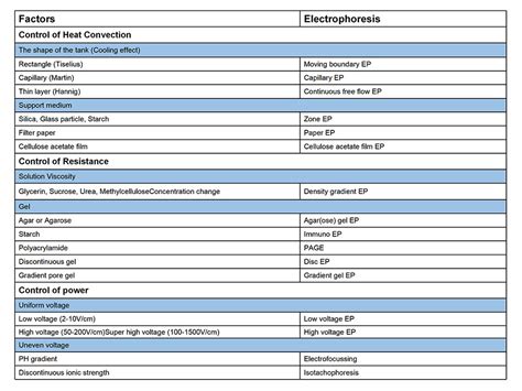 News - Types of Electrophoresis