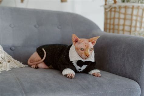 Cat Tuxedo With Bow Tie Sphynx Cat Dress Suit Hand Knit - Etsy