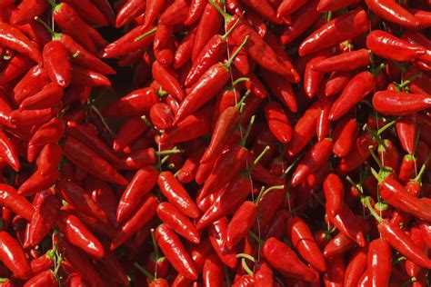 What Are Calabrian Chiles And How Are They Used