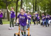 Wat Een Joekels Dit Is Zijn De Grootste Bomen Van Apeldoorn