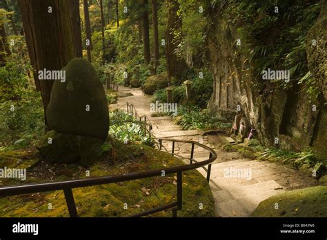 Steps In Forest Honshu Japan Stock Photo Alamy