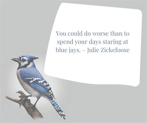 26 Bird and Nature Quotes To Inspire You - Wild Bird Scoop