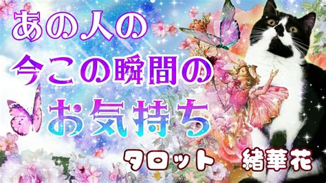 お相手様の今この瞬間💞あなたへのお気持ち 】 見た時がタイミング！恋愛タロット占い 【さくさく三択💫 】お相手様が願う幸せな願望が伝わりました