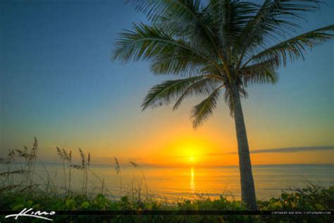 Florida Beach Sunrise Coconut Tree Treasure Coast Hdr Photography By