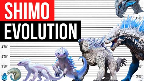 Evolution Of Titanus Shimo Life Cycle YouTube