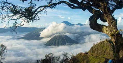 Wisata Di Sekitar Gunung Bromo Terpopuler Tahun 2020