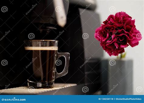 Espresso Coffee with Pink Flower As a Detail Stock Photo - Image of beans, beverage: 134234118