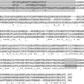 Rem Has Extended Termini Clustal W Multiple Sequence Alignment