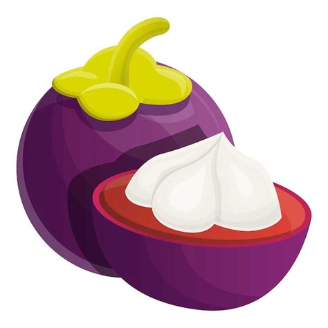 Premium Vector Mangosteen Icon Cartoon Of Mangosteen Vector Icon For