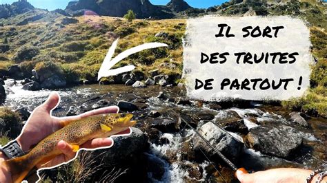 P Che De La Truite Aux Leurres Cuiller Tournante Et Pn En Ruisseau De