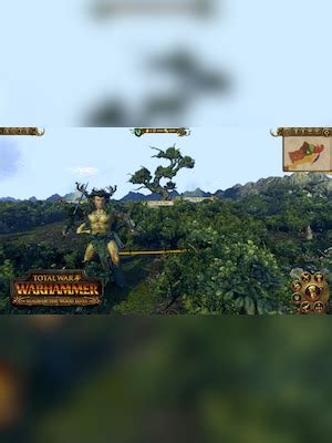 Buy Total War Warhammer Realm Of The Wood Elves Steam Gift Global