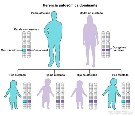 Síndromes hereditarios de cáncer de riñón