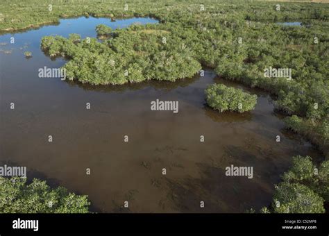 Enp Everglades National Park Stock Photo Alamy