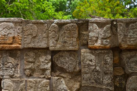 Iguana en la Plataforma de los Cráneos o Tzompantli Yacimiento