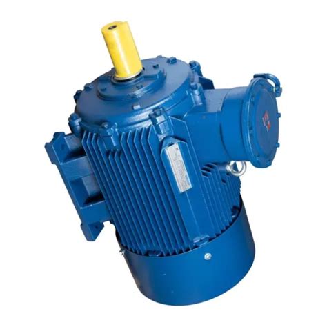 Ybx3 China Standard Explosion Proof Asynchronous AC Electric Motor