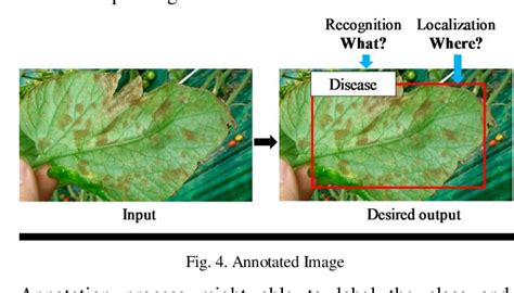 Figure 4 From Detection And Classification Of Plant Leaf Diseases By