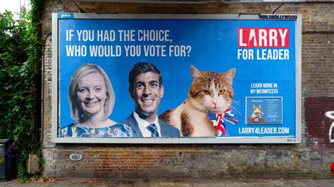 Larry The Cat Announced As UK Prime Minister Candidate In Spoof Ad