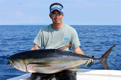 How To Catch Yellowfin Tuna Tips For Fishing For Yellowfin Tuna