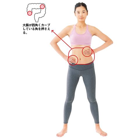 毎日の習慣にしたい6つの腸ストレッチ。 健康 ページ 4 クロワッサン オンライン