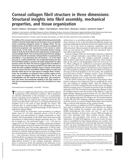 Corneal Collagen Fibril Structure In Three Dimensions Structural