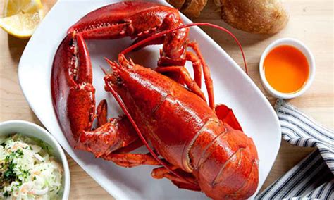 What Does Lobster Taste Like All Things You Need To Know