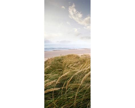 Jetzt Bestellen Türtapete Sylt Strandpanorama Livingwalls Colognede