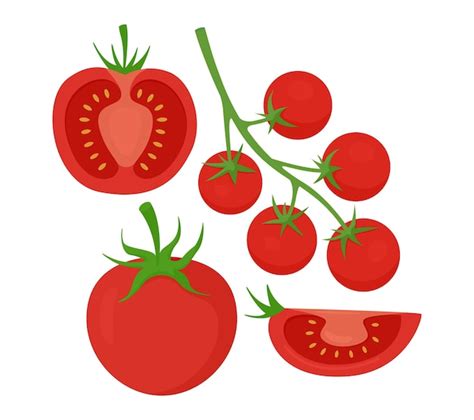 Conjunto de tomate rojo y tomate cherry ilustración vectorial de