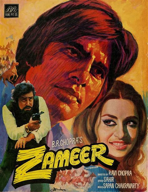 zameer  plot