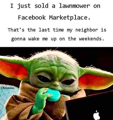 Pin By Paula On Funnies Yoda Funny Grumpy Cat Humor Silly Jokes