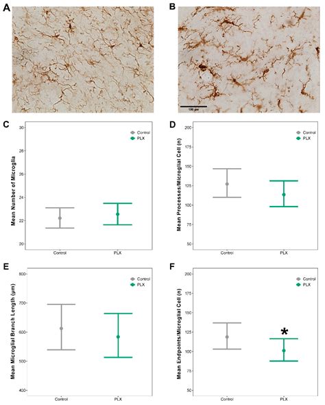 Biology Free Full Text Microglia Are Necessary To Regulate Sleep