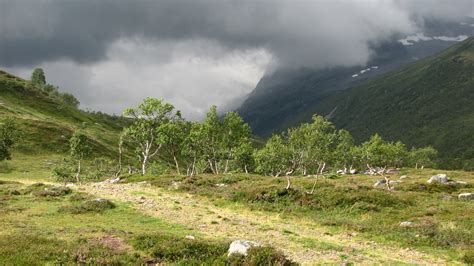 Bildet Landskap Villmark Fjell Eng H Yde Dal Fjellkjede V R