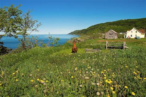 Gaspé Peninsula travel - Lonely Planet | Canada, North America