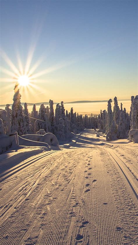 Rays Of Light Lapland Region Finland Sun Nature HD Phone Wallpaper Pxfuel