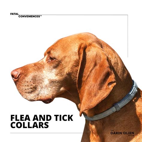 Flea and Tick Collars | Fatal Conveniences™ - Darin Olien