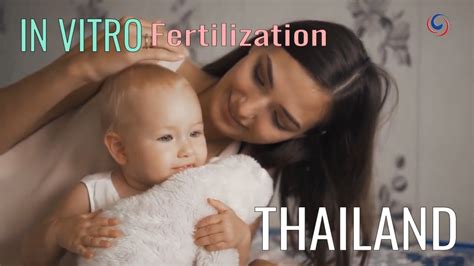 IN VITRO Fertilization In Thailand YouTube