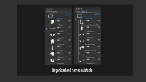 Artstation Simplified Anatomy Basemesh 3 Pack Resources