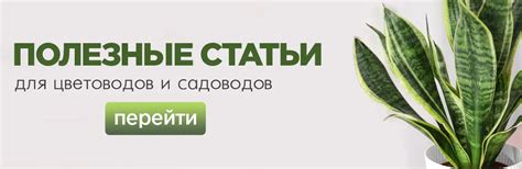 JOY для дома и сада