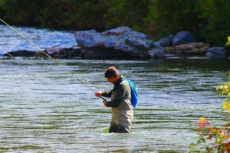 Top Fishing Spots To Explore In Virginia Beach Vermont Fishingweb Net