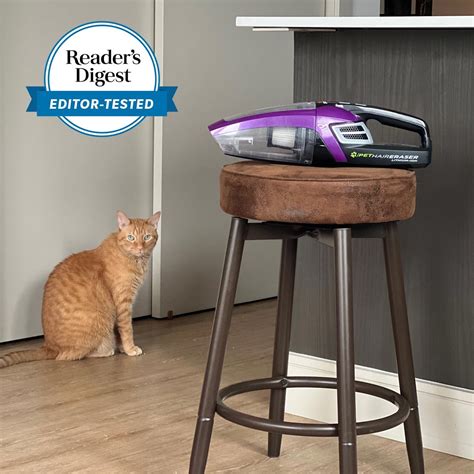 Pet Parents Need This Handheld Vacuum | Bissell Pet Hair Eraser Review ...