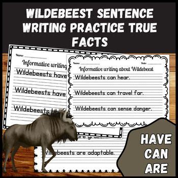 Wildebeest Informative Sentence Writing Practice Worksheets With True Facts