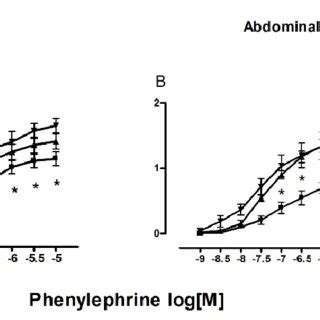 Contractile Effects Of Pheny Lephrine In Thoracic And Abdominal Aorta