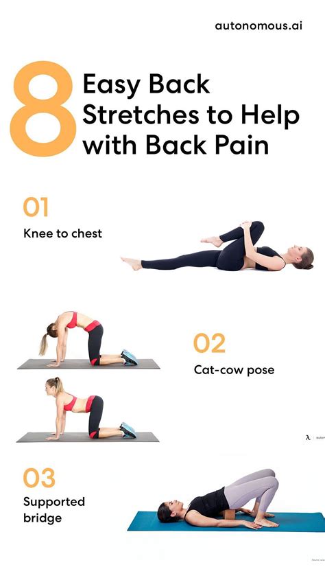 8 Easy Back Stretches To Help With Back Pain Artofit